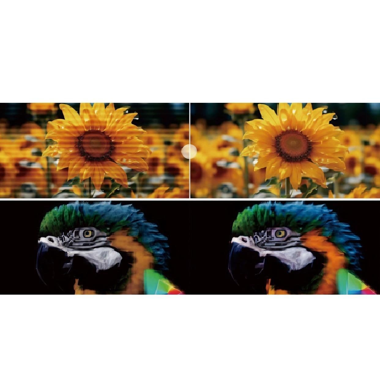 Creative Curved LED Display Series 2