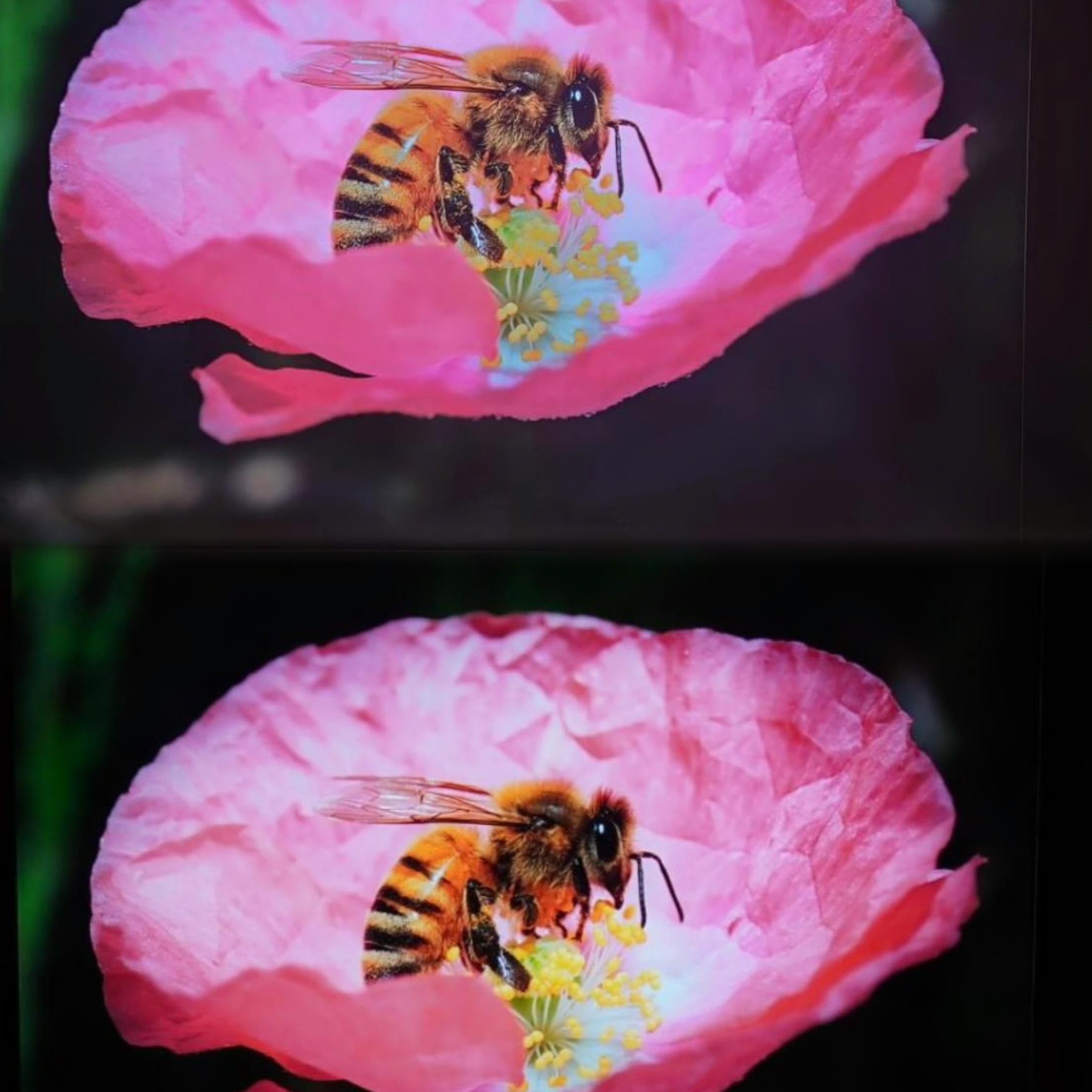 Indoor COB Fine-Pitch LED Display Series 3